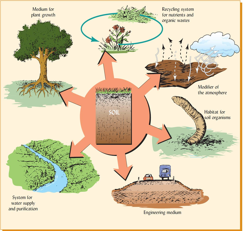 Soil importance