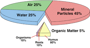 Soil phases